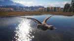 *theHunter: Call of the Wild Duck and Cover Pack*Steam*