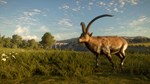 *theHunter Call of the Wild Cuatro Colinas Game Reserve