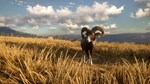 *theHunter Call of the Wild Cuatro Colinas Game Reserve
