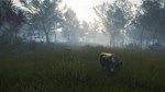 theHunter Call of the Wild Te Awaroa National Park*Стим