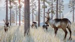 Planet Zoo: Arctic Pack Steam Ключ РФ+Мир +Бонус