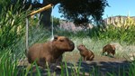 ✅Planet Zoo: Wetlands Animal Pack⭐Steam\РФ+Мир\Key⭐ +🎁