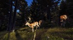 *Way of the Hunter *Steam\RegionFree\Key* + Бонус
