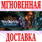 ✅The Wizards - Dark Times: Brotherhood VR⭐Steam\Key⭐+🎁