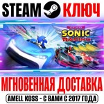 Team Sonic Racing Steam Ключ РФ+Мир +Бонус