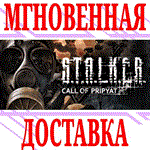 ✅S.T.A.L.K.E.R. Call of Pripyat Зов Припяти⭐Steam*\Key⭐