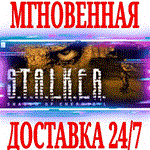 ✅S.T.A.L.K.E.R Тень Чернобыля⚫STEAM🔥РАБОТАЕТ В РФ🔑КEY