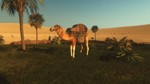 *Starsand *Steam\RegionFree\Key* + Бонус