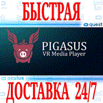 *Pigasus VR Media Player *OCULUS QUEST *АВТОВЫДАЧА*