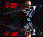 *Shadow Warrior (2013) *Steam\РФ+Весь Мир\Key* + Бонус