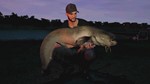 *Euro Fishing: The Moat DLC *Steam\Global\Key* + Бонус