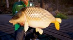 *Fishing Sim World: Pro Tour *Steam\Global\Key* + Бонус