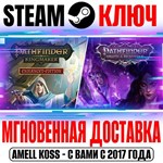*Pathfinder Collector’s Edition (2 в 1) Steam Ключ