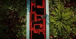 *The Forest Cathedral *Steam\РФ+Весь Мир\Key* + Бонус