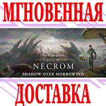 ✅The Elder Scrolls Online Upgrade: Necrom (TESO) ⭐Key⭐