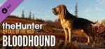 *theHunter Call of the Wild Greenhorn Bundle*Steam\Key*