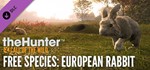 *theHunter Call of the Wild Greenhorn Bundle*Steam\Key*