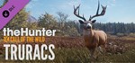 *theHunter Call of the Wild Greenhorn Bundle*Steam\Key*