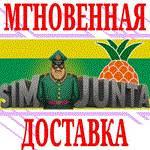 *Sim Junta *Steam\РФ+Весь Мир\Key* + Бонус