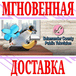 *Salamander County Public Television *Steam\РФ+Мир\Key*
