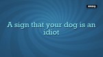 *Quiplash 2 InterLASHional *Steam\РФ+Весь Мир\Key* + *
