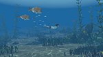 *Storm Boy *Steam\РФ+Весь Мир\Key* + Бонус
