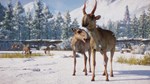 ✅Planet Zoo: Eurasia Animal Pack ⭐Steam\РФ+Мир\Key⭐ +🎁