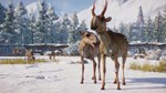 Planet Zoo Eurasia Animal Pack Steam Ключ РФ+Мир +Бонус