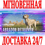 *theHunter Call of the Wild Labrador Retriever*Стим\Key