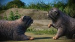 Planet Zoo: Zookeepers Animal Pack Steam Ключ РФ+Мир