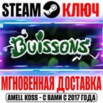 Buissons Steam Ключ РФ+Мир +Бонус