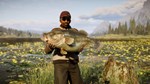 Call of the Wild The Angler Steam Ключ Весь Мир* +Бонус