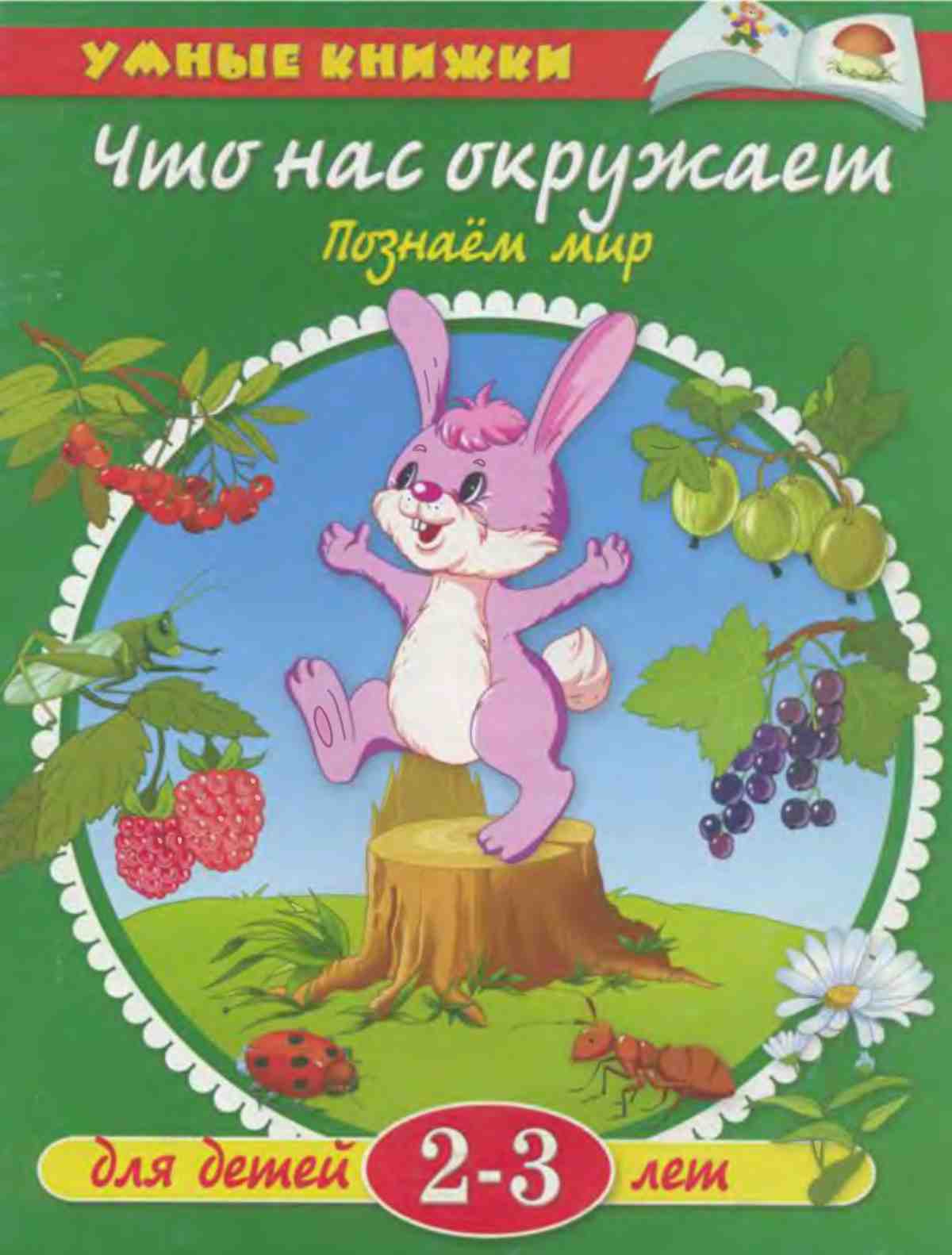 Что нас окружает. Познаем мир Земцова О.Н