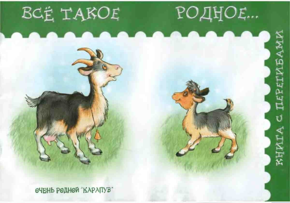 Янушко Е.А., Всё такое родное