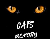 Memory from cats on guitar - notes, tabs