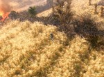 **Grim Dawn / Steam Key / РФ+МИР