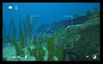 **World of Diving / Steam Key / РФ+МИР