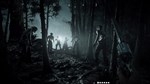 **Hunt: Showdown 1896 / Steam Key / РФ+МИР