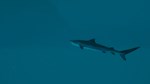 **Ultimate Fishing Simulator 2 / Steam Key / РФ+МИР