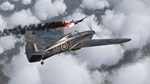 **IL-2 Sturmovik: Cliffs of Dover Blitz Ed / Steam / РФ