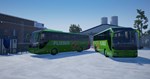 **Fernbus Simulator: Platinum Edition / Steam Key / РФ