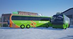 **Fernbus Simulator: Platinum Edition / Steam Key / РФ