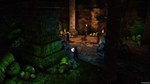 **Solasta: Crown of the Magister / Steam Key / РФ+МИР