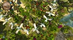 **Defenders of Ardania / Steam Key / РФ+МИР