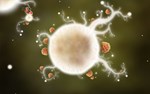 **Botanicula / Steam Key / РФ+МИР