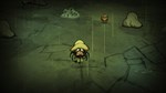 *DLC Don´t Starve + Reign of Giants / Steam Key / РФ