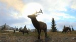 Cabela´s Big Game Hunter Pro Hunts Steam CD Key