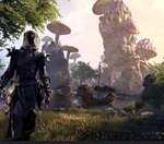The Elder Scrolls Online (Morrowind)  🔑XBOX🔑