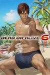 DOA6 Seaside Eden Costume  Hayabusa