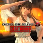 DEAD OR ALIVE 5 Last Round Hitomi Halloween Costume 201